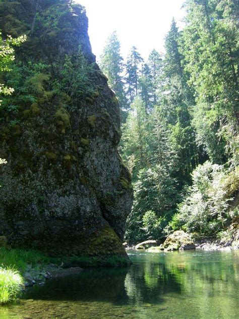 Along the Clackamas River Trail (image by J. Gauthier) | Oregon pictures, River trail, Places to ...