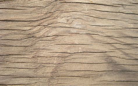 Light wooden texture, macro, wooden backgrounds, wooden textures, light ...