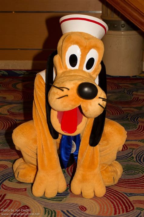 DCL Feb 2012 - Meeting Pluto | Disney world pictures, Disney, Disney ...