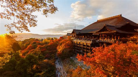 京都寺院风景图片-京都傣吉寺秋景中的日本建筑素材-高清图片-摄影照片-寻图免费打包下载