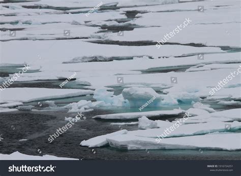 Climate Change North Pole Antartic Arctic Stock Photo 1916724251 ...