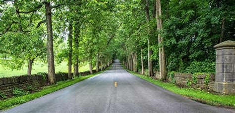 Take a scenic drive through horse country and witness some of the most idyllic and beautiful ...