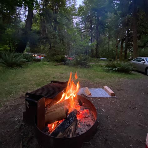 Hoh Rainforest Campground | The Dyrt