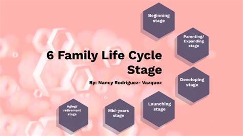 Family Life Stages