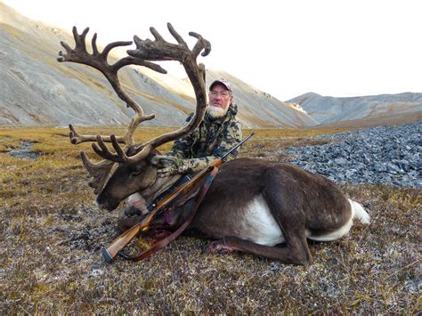 Barren Ground Caribou Guided Wilderness Hunts Alaska Peninsula — Alaska ...