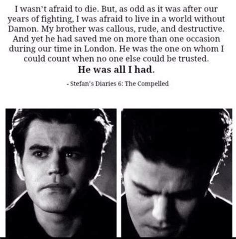 tvd - stefan salvatore | Vampire diaries funny, Vampire diaries quotes ...