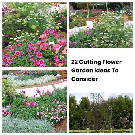 22 Cutting Flower Garden Ideas To Consider | SharonSable