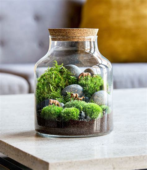 Inside a Terrarium, It’s Always Gardening Season (Published 2021) | Terrarium, Succulent ...