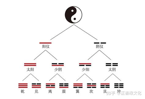 基础知识 | 什么是两仪？ - 知乎