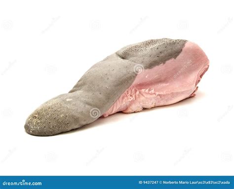 Cow Tongue Royalty Free Stock Photography - Image: 9437247