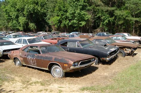 Mopar Graveyard Hidden in the Carolina Hills | Junkyard cars, Mopar, Abandoned cars