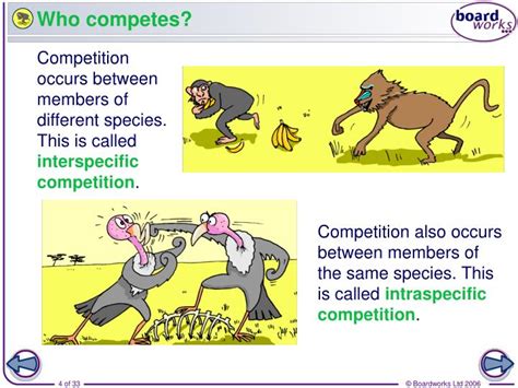 PPT - What is competition? PowerPoint Presentation - ID:797973