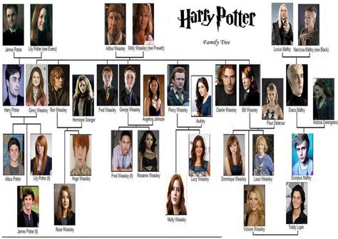 Harry Potter Family Tree by MooyongRocks on DeviantArt