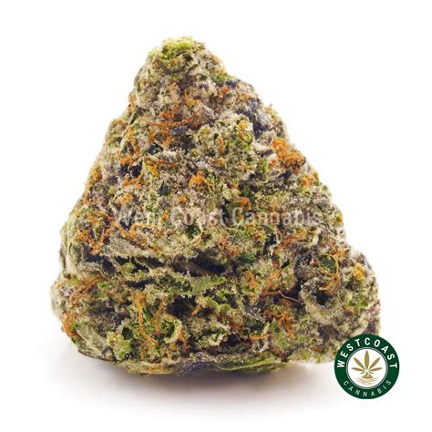 Pink Gas AAA - West Coast Cannabis