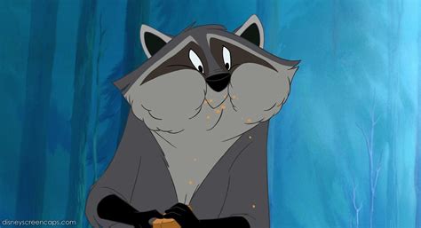 Meeko - Disney Wiki