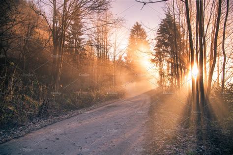 Misty sunrise in the forest | High-Quality Nature Stock Photos ~ Creative Market