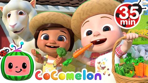 Yes Yes Vegetables With Farm Animals More Cocomelon Nursery Rhymes Kids Songs – NBKomputer