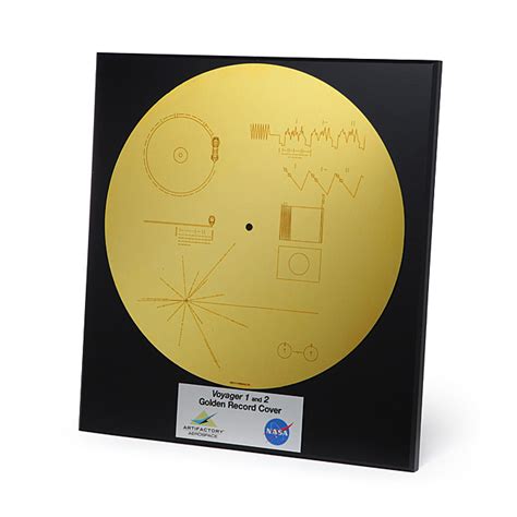 Voyager 1 and 2 Golden Record Replica | The Green Head