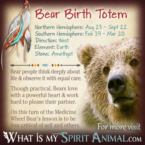 Bear Totem | Native American Zodiac Signs & Birth Signs