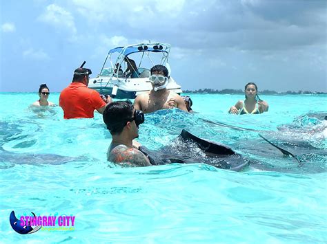 Stingray City Cayman Islands-Best kept secret for Summer Escape | PRLog