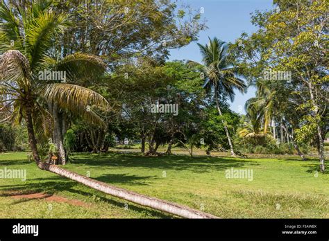 Taino Indian Village in Cuba Stock Photo - Alamy