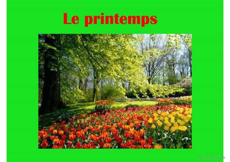 Les saisons: Français FLE powerpoints