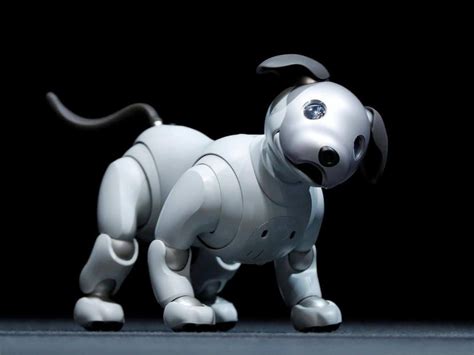 André 🔝 🆕 💯 ↗️ 🆓 on Twitter | Robot dog, Robotic dog, Japanese robot