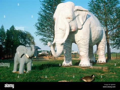 Roadside attraction of gigantic white elephant with baby Stock Photo ...