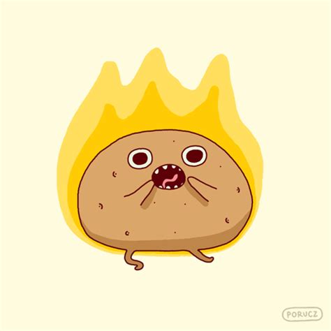Funny Gifs : hot potato Gif - VSGIF.com