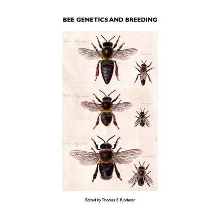 Bee Genetics and Breeding in 2021 | Bee, Breeds, Genetics