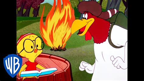 Looney Tunes | Camping with Foghorn Leghorn | Classic Cartoon | WB Kids - YouTube