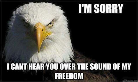 Freedom | Bald eagle meme, Freedom, Eagle