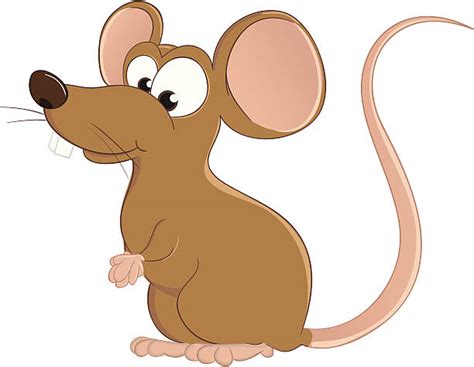 Best Cartoon Mice Illustrations, Royalty-Free Vector Graphics & Clip Art - iStock