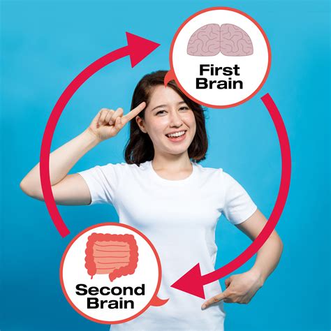 Your Gut Is Your Second Brain – Fast Eat Live