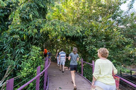 Walk the Botanic Gardens – Walk Darwin