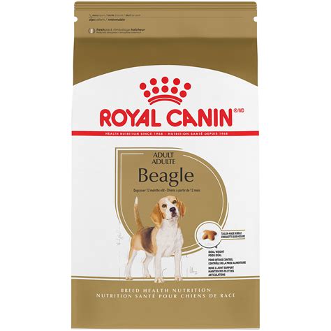 Food Beagle | lupon.gov.ph