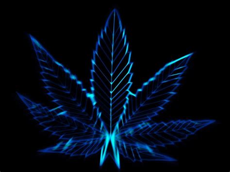 Neon Weed Wallpapers - Top Free Neon Weed Backgrounds - WallpaperAccess