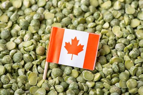 Premium Photo | Flag of Canada on pea grain Concept of growing green pea in Canada origin of ...