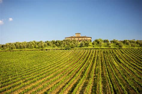 Chianti Vineyards in Tuscany, Italy. Stock Image - Image of grapes, farming: 118080035