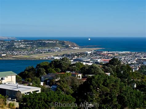 Hiking to Mount Victoria Lookout in Wellington NZ • Albom Adventures