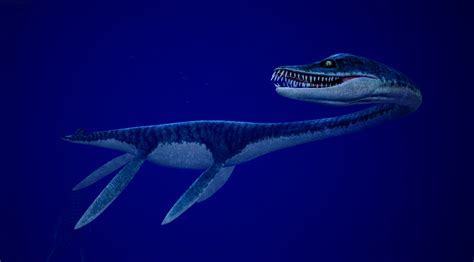 Time Machine VR - Weekly Facts: The Elasmosaurus - Steam News