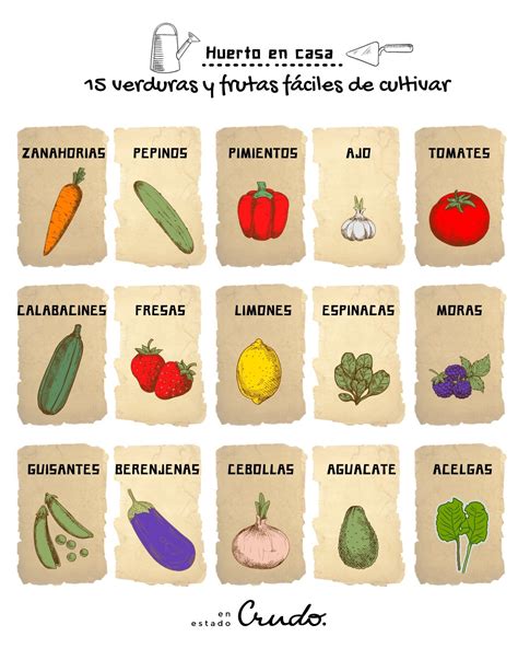 15 verduras y frutas que puedes cultivar en casa fácilmente