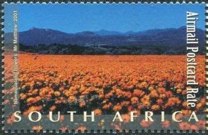 Stamp: Flowers, Namaqualand (South Africa(Tourism) Mi:ZA 1407,Sn:ZA C52,Yt:ZA PA61,Sg:ZA 1350 ...