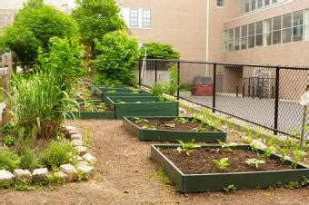 How to Plan a School Garden | LoveToKnow