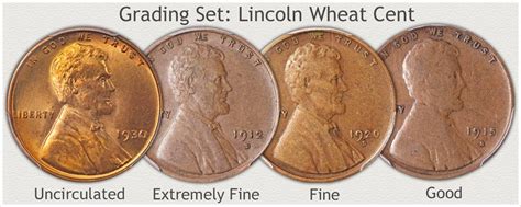 Wheat Pennies Showing Progression of Grades, Uncirculated, Extremely Fine, Fine, and Good ...