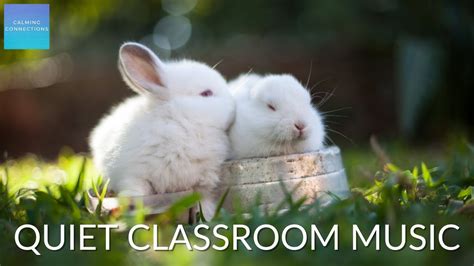 Quiet Classroom Music For Children - Rabbits 🐇 Relaxing music for ...