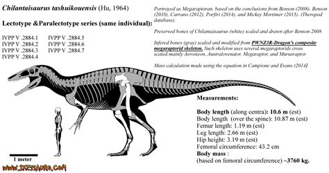 Chilantaisaurus | Ikessauro