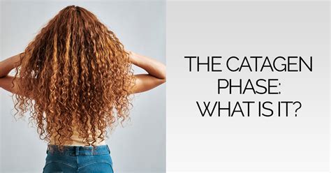 The Catagen Phase: What Is It And How Does It Relate to Hair Loss?