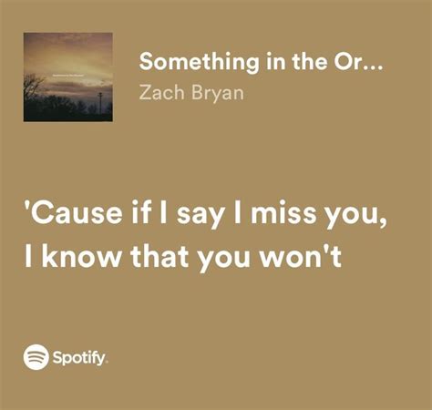 something in the orange - zach bryan spotify lyrics | Country music lyrics quotes, Country ...