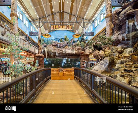 Las Vegas, JAN 8, 2021 - Interior view of the Bass Pro Shops Stock ...